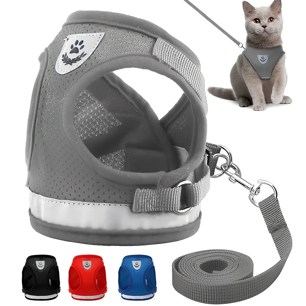 Blue breathable mesh pet harness with reflective belt, adjustable for 1.5-10kg dogs, includes 120cm towing rope for safe walks