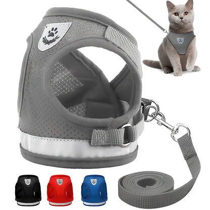 Blue breathable mesh pet harness with reflective belt, adjustable for 1.5-10kg dogs, includes 120cm towing rope for safe walks