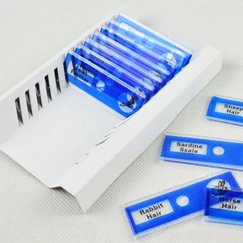 48 plastic microscope slides with plant and animal specimens in colour-coded boxes for children's science observation