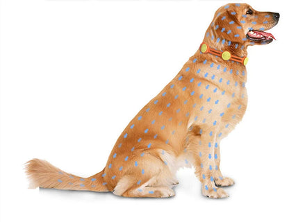 Adjustable pet insect repellent collar with natural essential oils for flea and mosquito protection