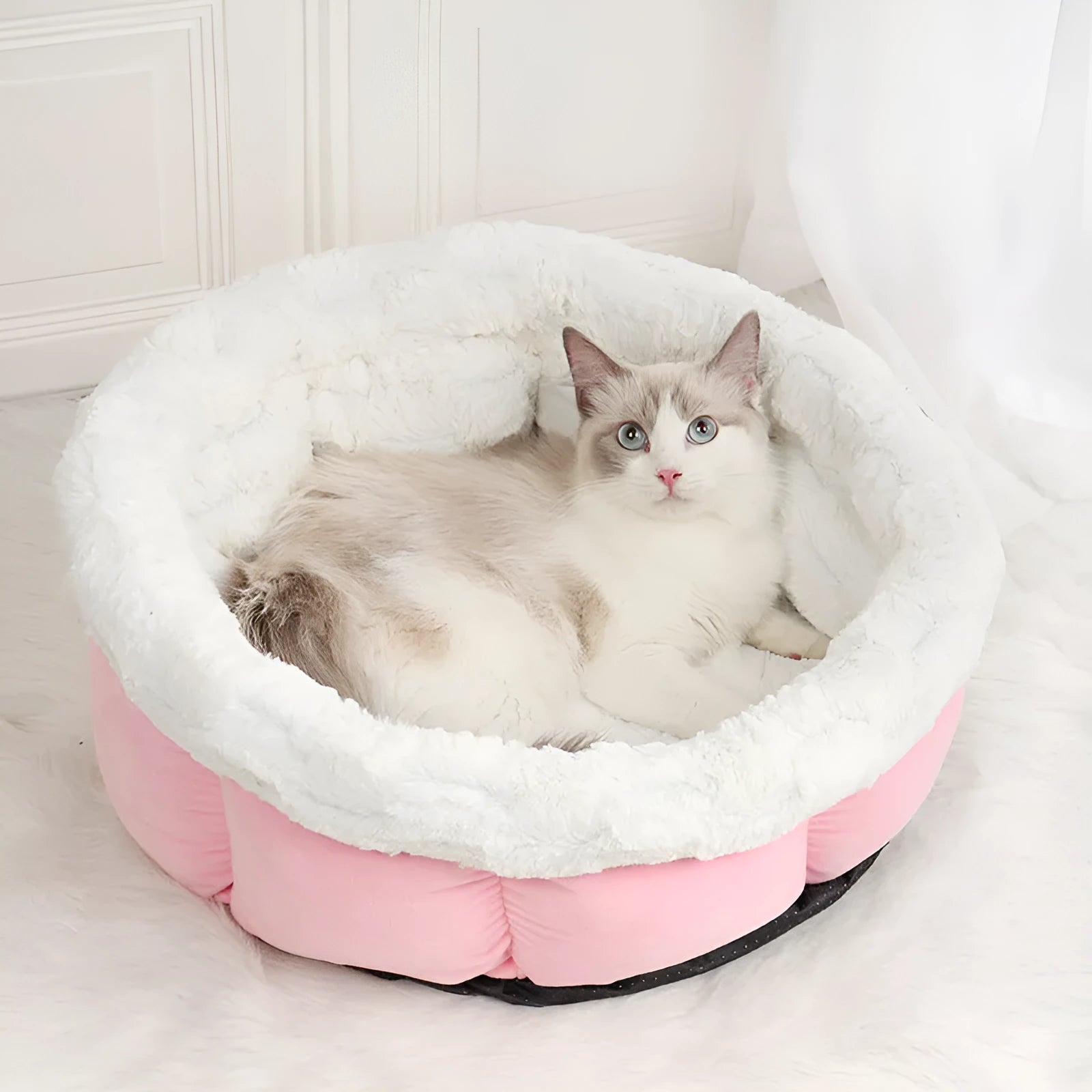 Petal cat mat in grey with raised edge, made from printed plush and imitated suede, measuring 48x49x25cm