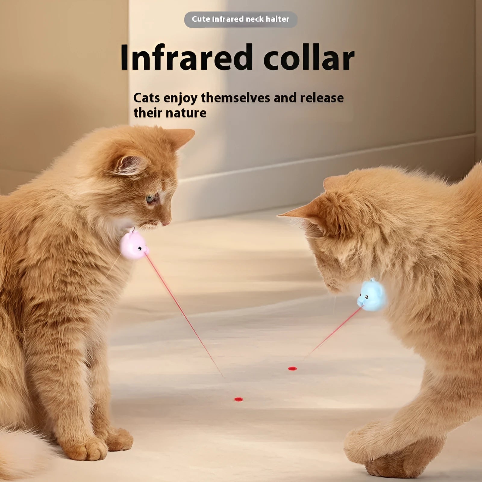 Rechargeable remote control cat collar with infrared halter in pink or blue colour options