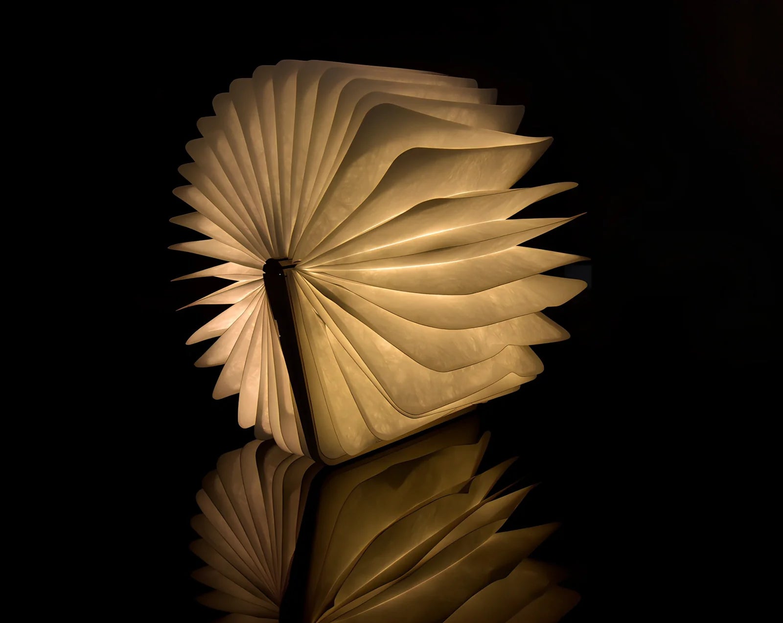 Wooden folding LED book light in walnut finish, open to 360 degrees showing warm white illumination on Tyvek pages, 21.5cm size