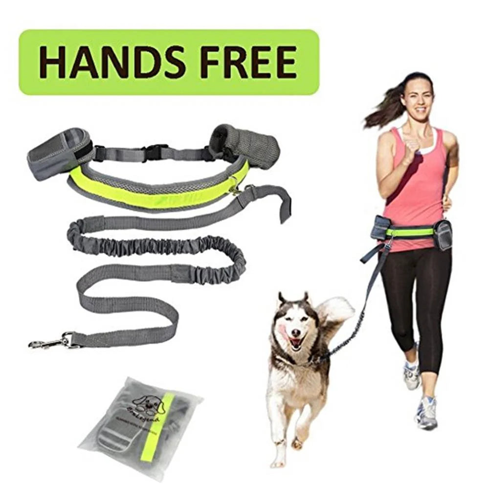 Adjustable hands-free dog leash set in gray, black, green, and red options