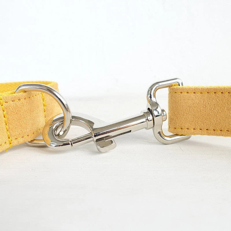 Nala pet dog collar traction rope in vibrant yellow, made from durable polyester