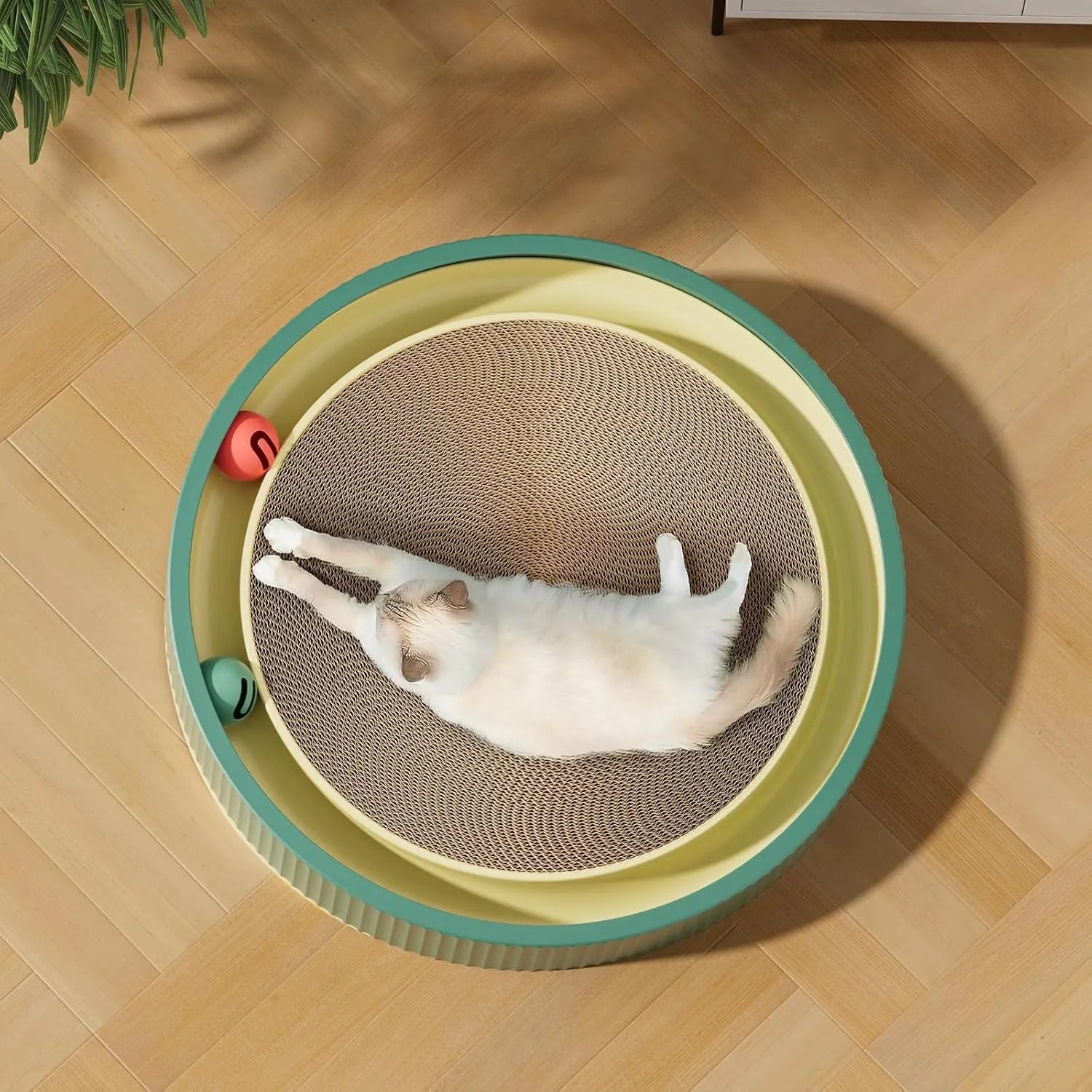 Green and white cat scratching board with bell balls and replaceable cardboard core for furniture protection