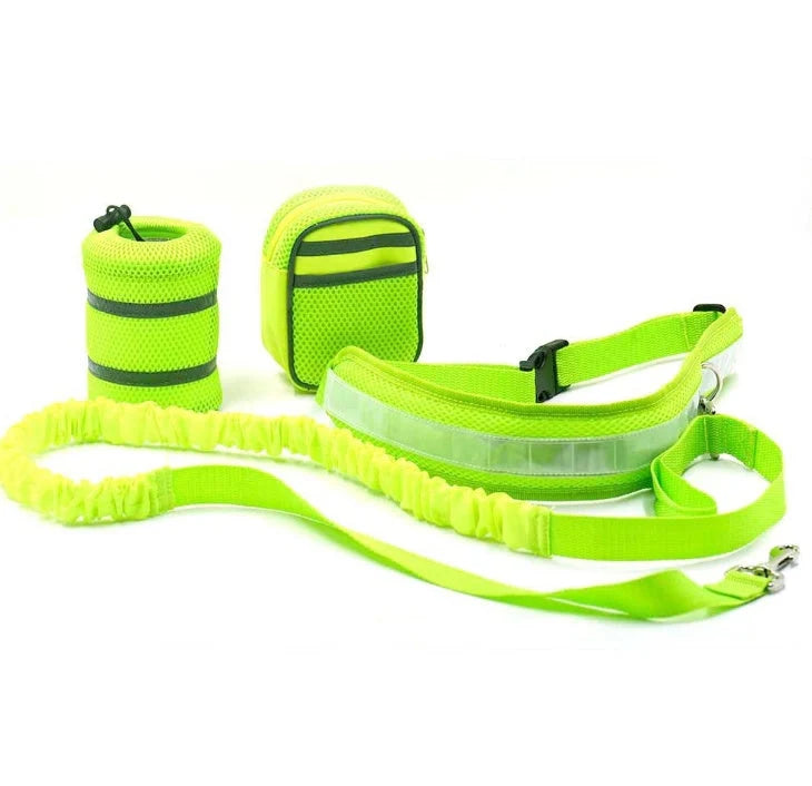Adjustable hands-free dog leash set in gray, black, green, and red options