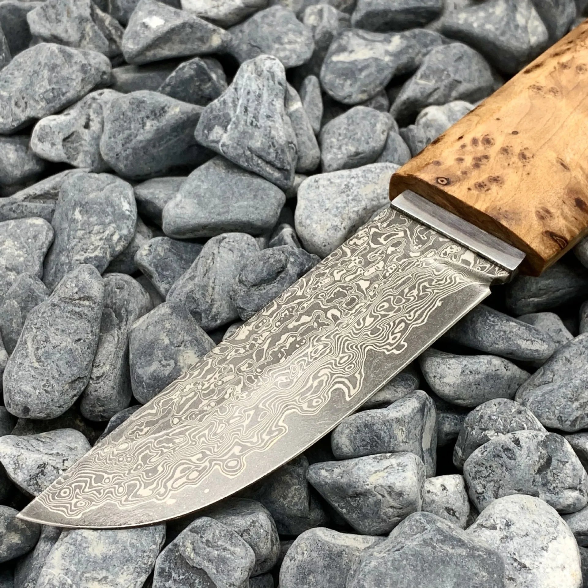 White Shadow short knife with Damascus steel blade and Thuja wood handle measuring 18cm
