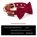 Dog lettering leather bowknot collar and hand holding rope set in creamy green on white background