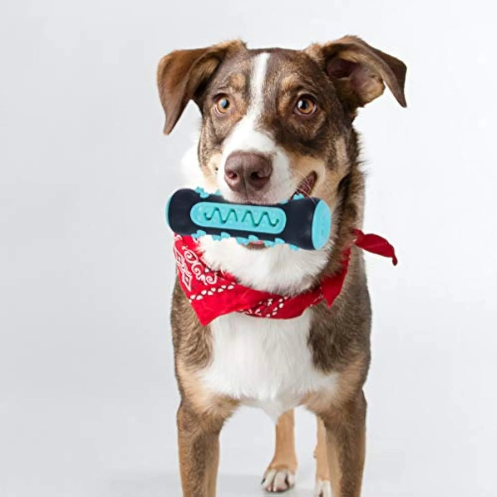Natural rubber dog toothbrush chew toy with silicone cleaning bristles in multiple colour options