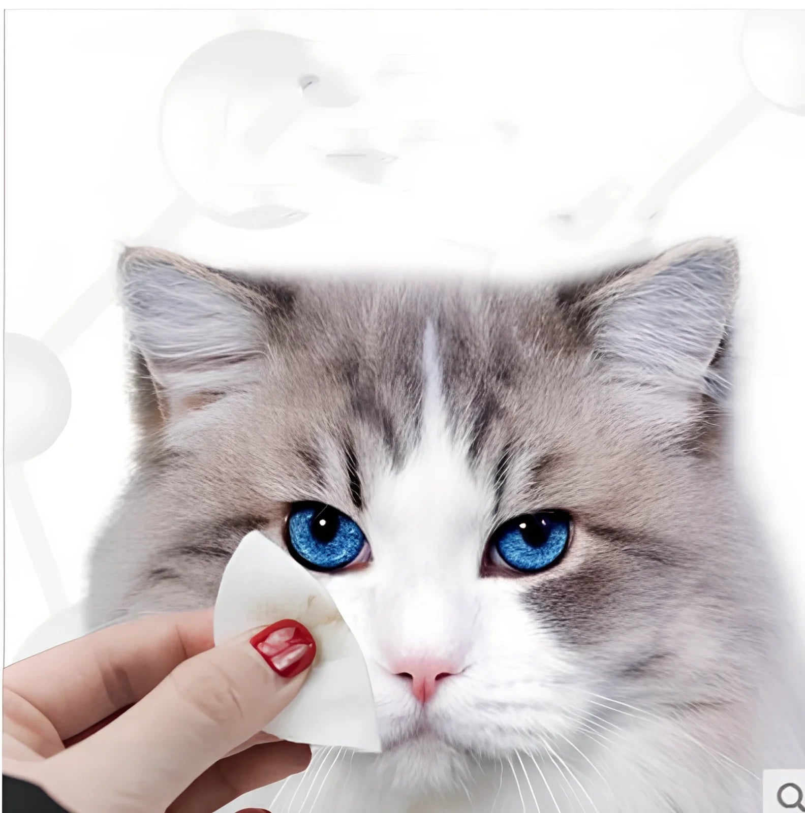 Cat tear stain removal wipes in container with gentle cleaning formula for eyes ears teeth