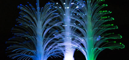 Colourful LED fiber optic night light for Christmas tree and home decoration