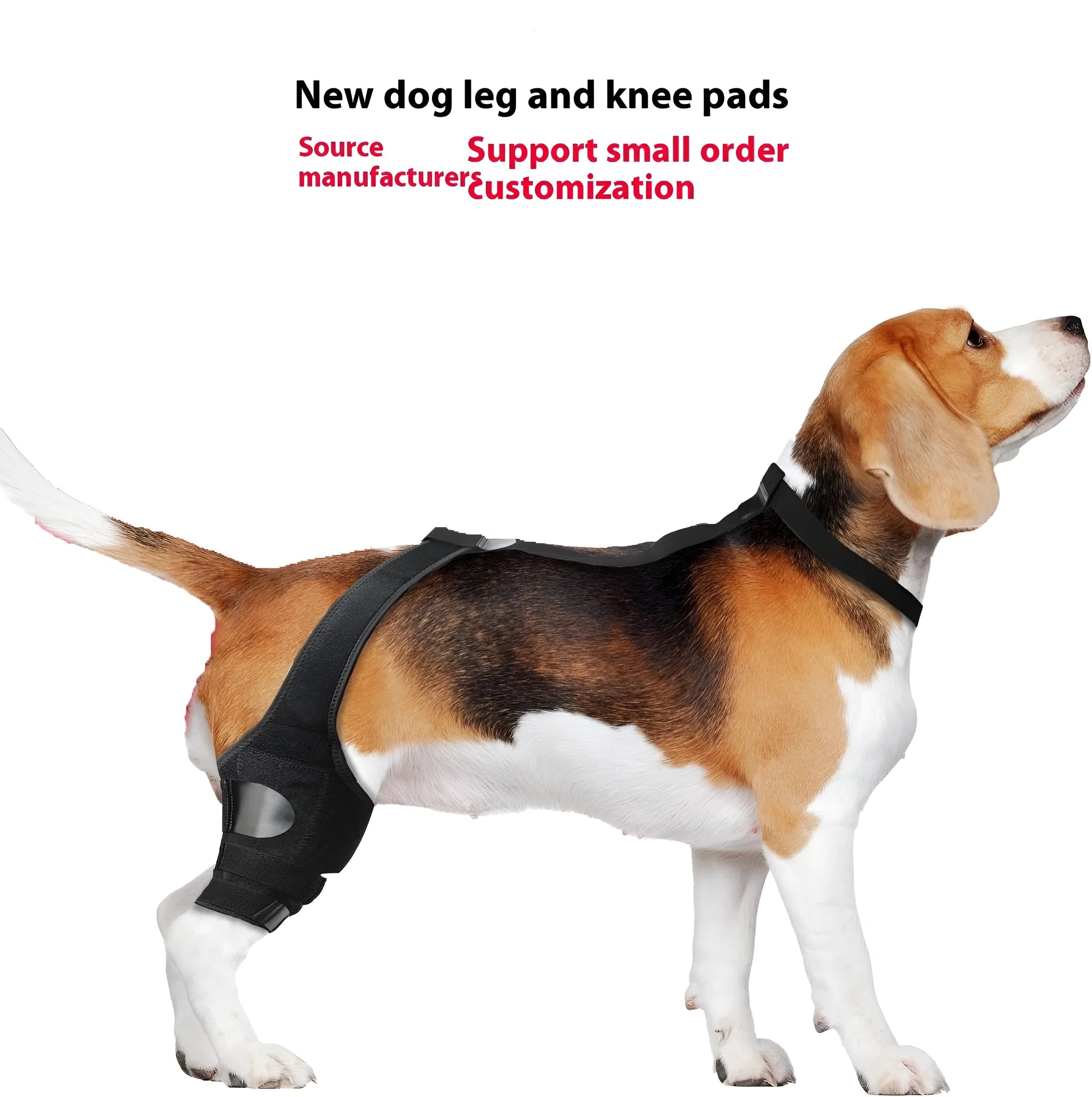 Neoprene dog hind leg knee brace assist strap in collar black colour showing adjustable design for pet leg support
