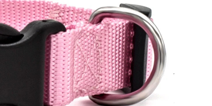 Soft nylon pet collar in various colours, adjustable for cats and dogs