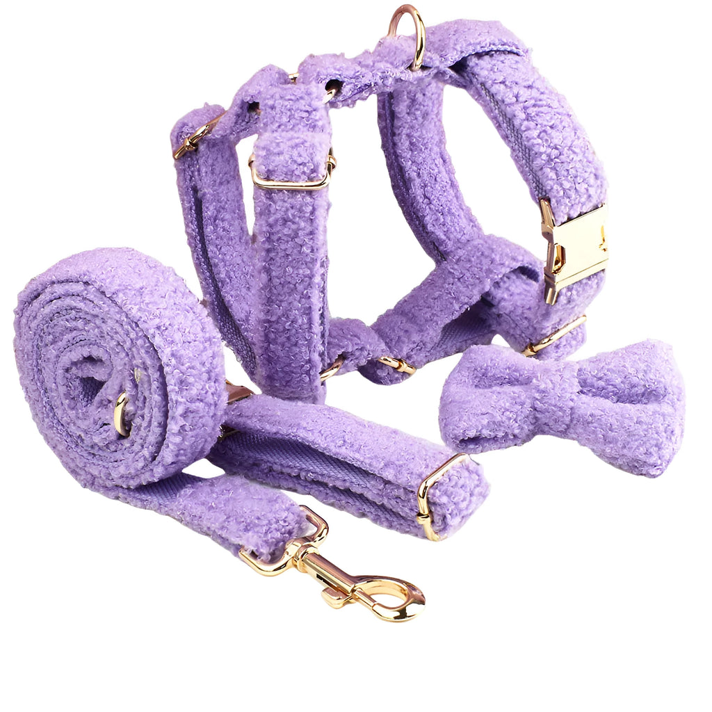 Four-piece dog accessory set showing collar, lead, bow and matching vest in cloth material