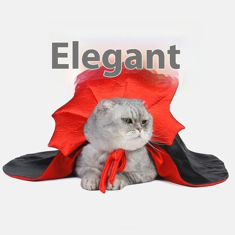 Black and red Halloween costume for pet cat or dog with European style design