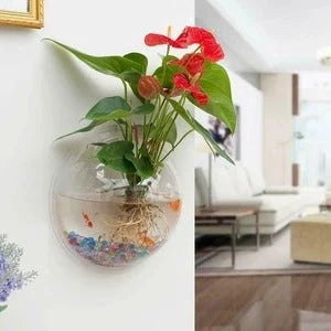 Wall-mounted transparent acrylic fish bowl in various sizes for space-saving aquatic displays