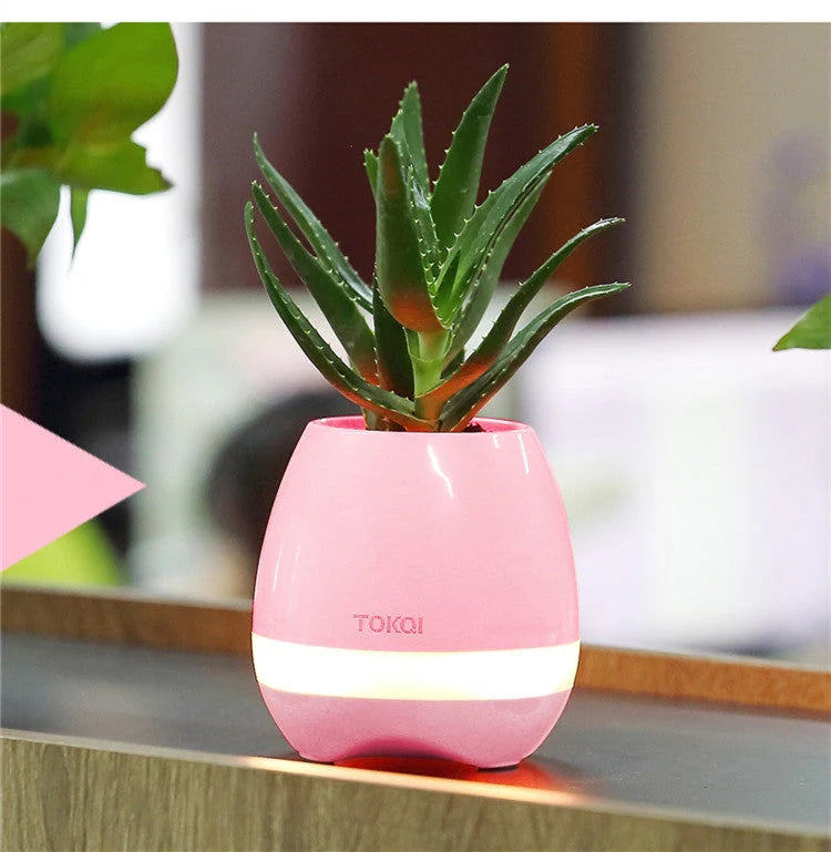 Touch-sensitive music vase desktop audio in pink, blue, and white