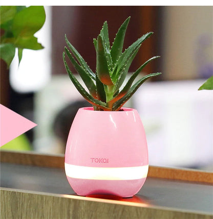 Touch-sensitive music vase desktop audio in pink, blue, and white