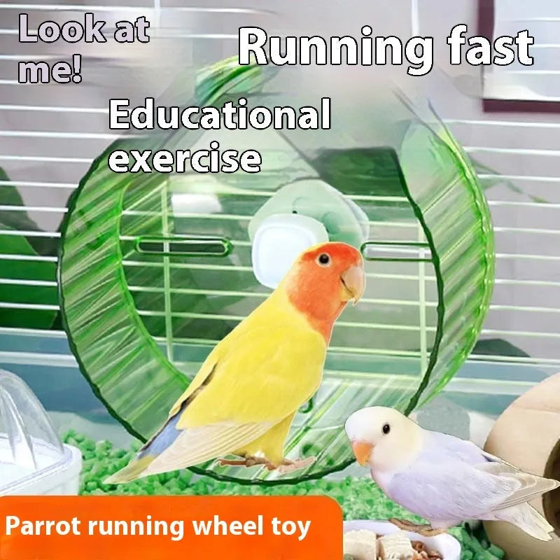 Parrot wheel running toy bird treadmill exercise wheel in plastic with multiple colour options