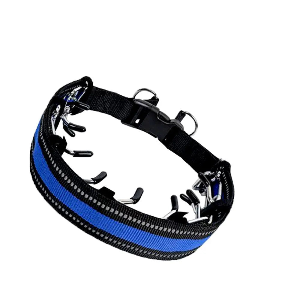 Spike dog training chain collar with metal construction in reflective colours