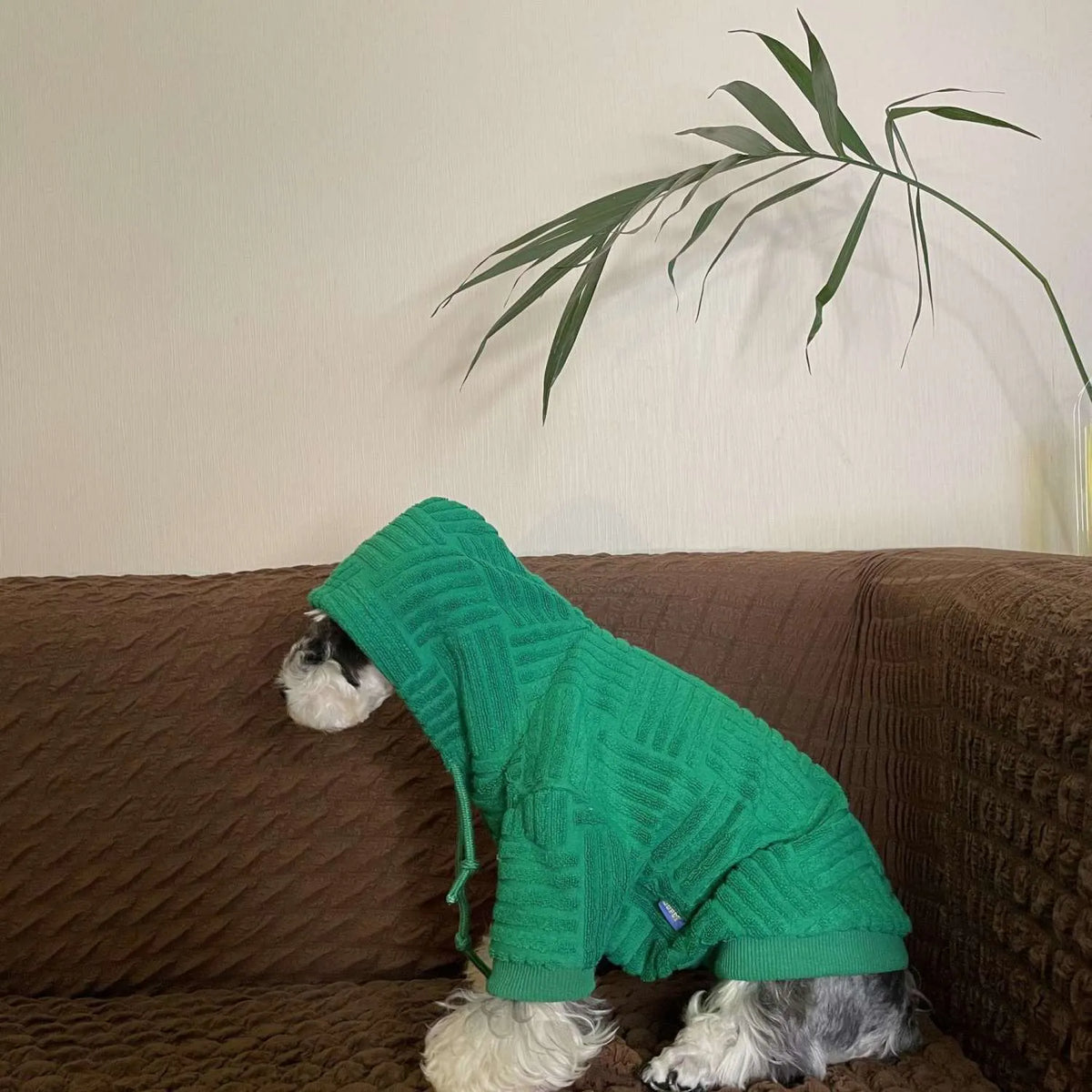 Green hooded polyester sweater for small dogs and cats, sizes S to XXL