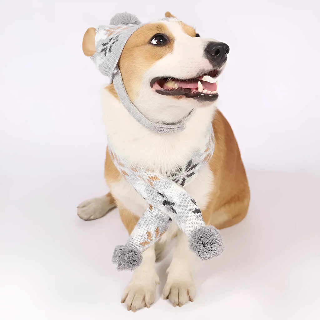Japanese-style retro jacquard pet clothes set with sweater, hat and scarf in coordinated colours