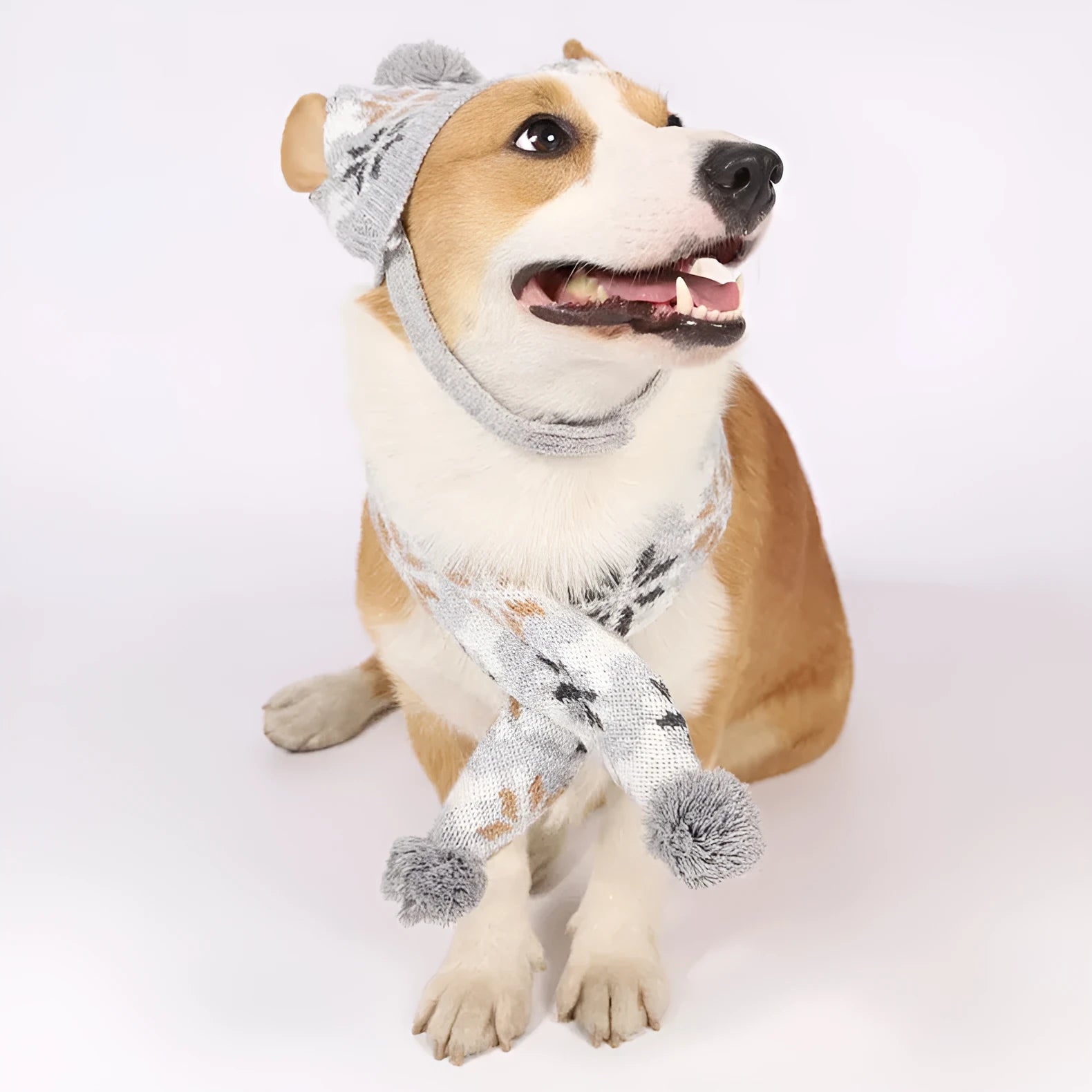 Japanese-style retro jacquard pet clothes set with sweater, hat and scarf in coordinated colours