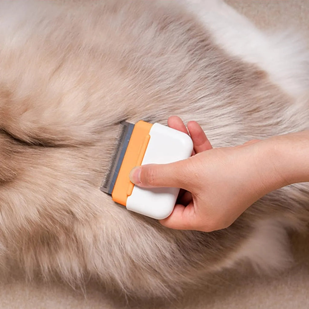 Blue double-sided pet grooming comb for cats and dogs with stainless steel brushing surfaces