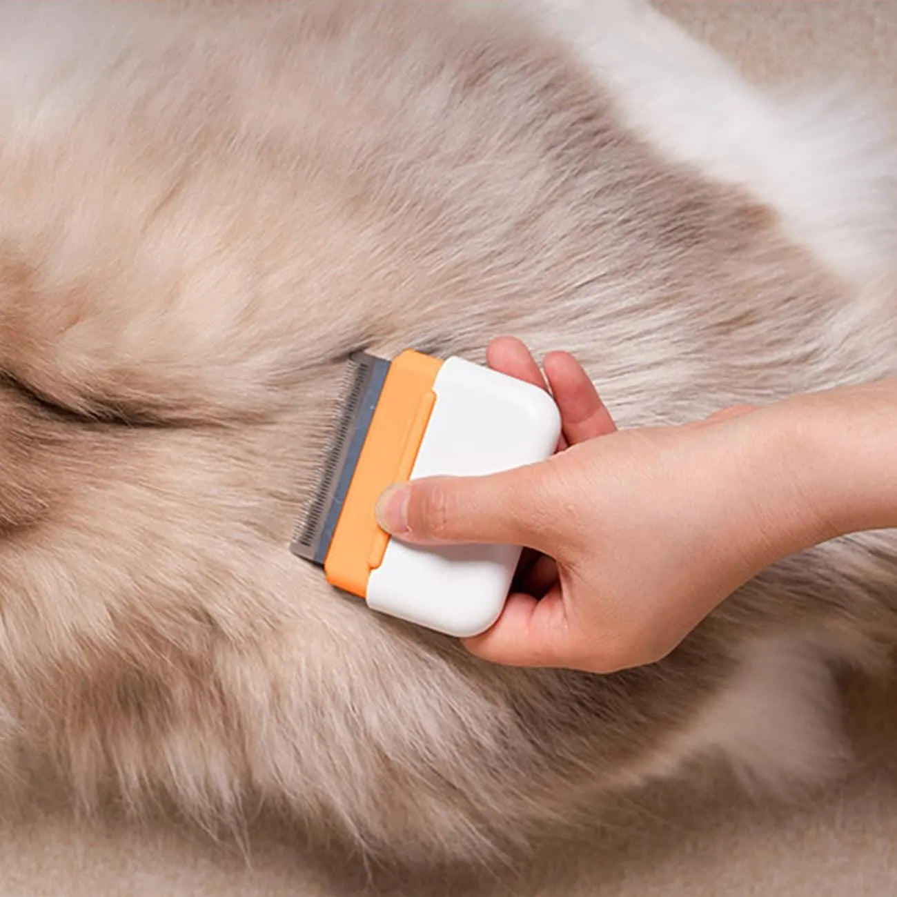 Blue double-sided pet grooming comb for cats and dogs with stainless steel brushing surfaces