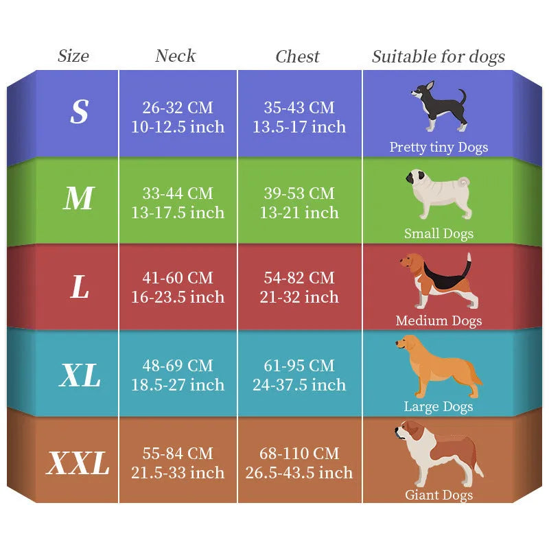 LED dog walking vest with seven-colour optical fibre light and explosion-proof straps on a dog outdoors at night