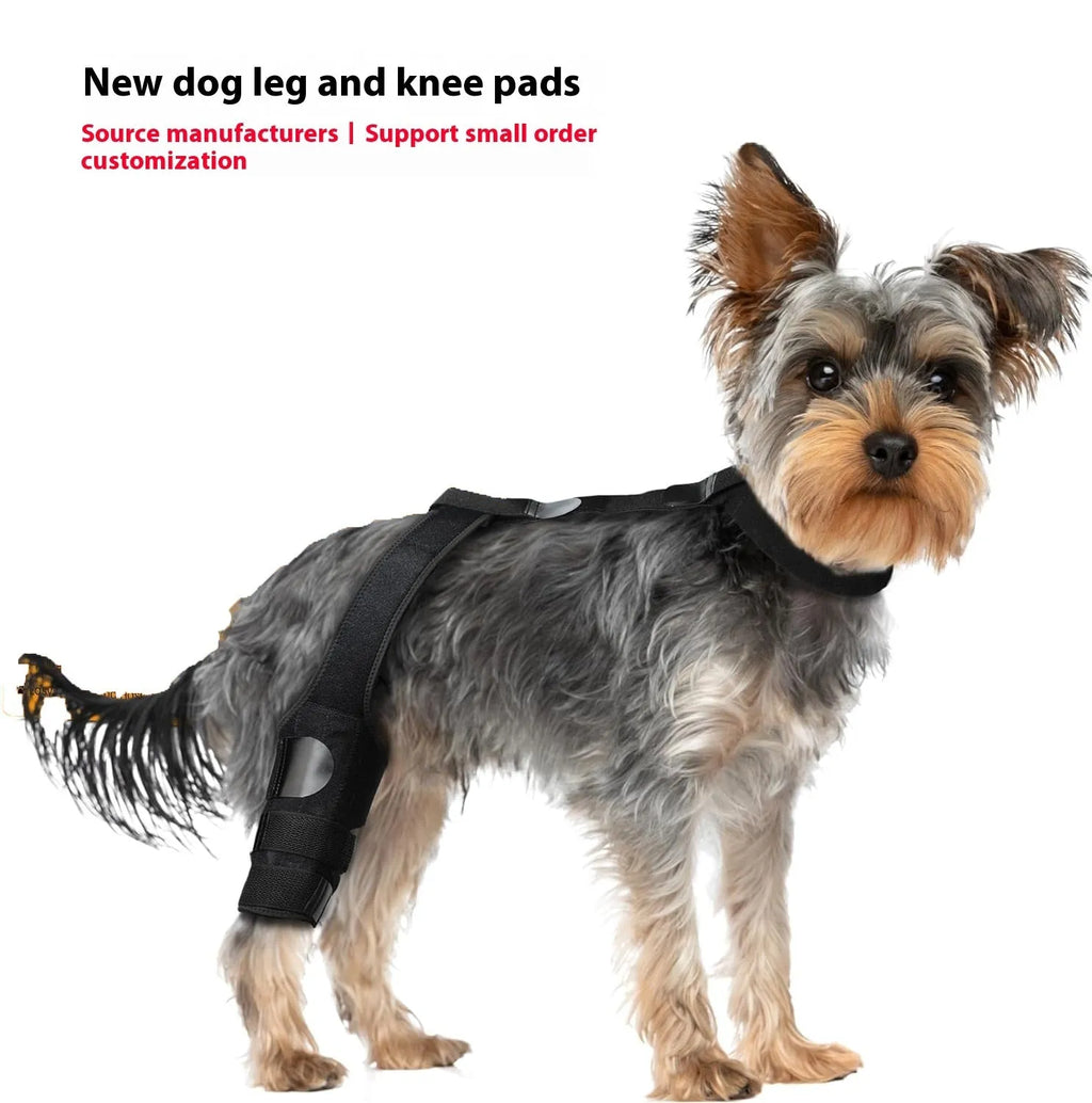 Neoprene dog hind leg knee brace assist strap in collar black colour showing adjustable design for pet leg support