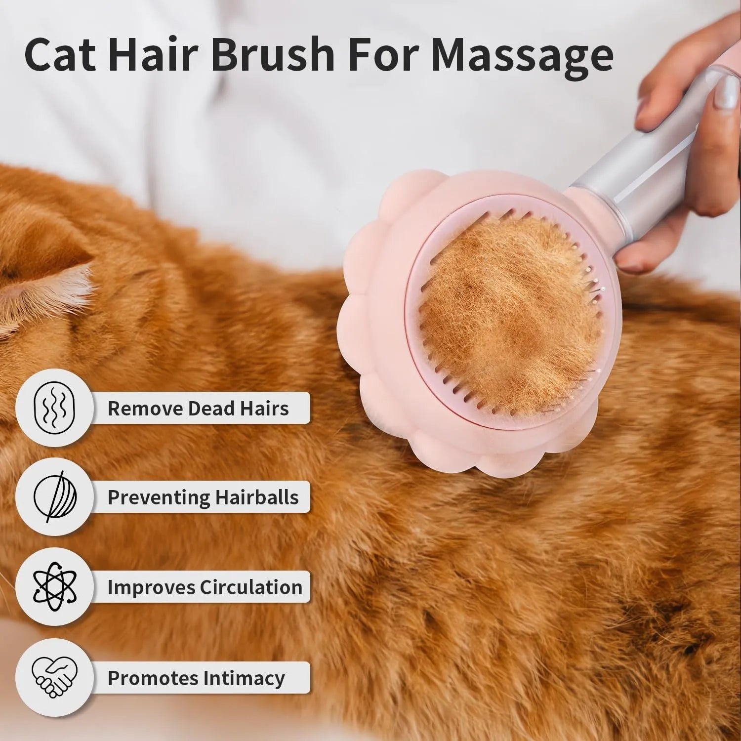Grey spray cat brush with release button next to a cat, showing curved stainless steel bristles.