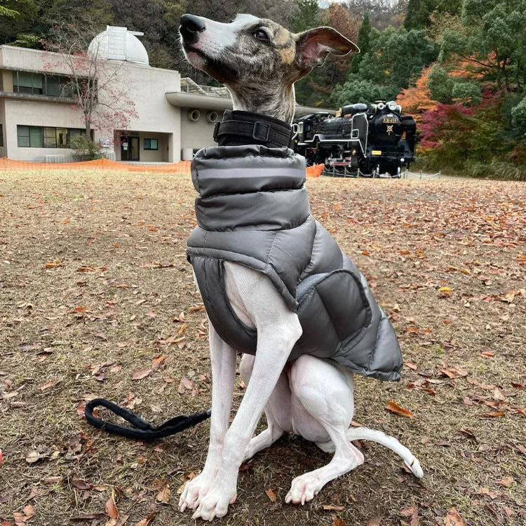 Dog clothes thickened thermal vest cotton coat in grey with adjustable belly band made of recycled polyester for small to large dogs