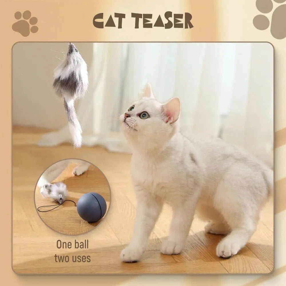 Blue orange automatic moving cat ball toy with smart rolling motion for pet enrichment