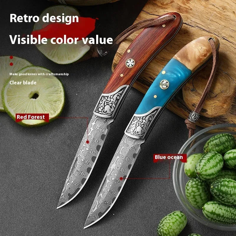 VG10 stainless steel folding knife with national style design in blue or red colour options