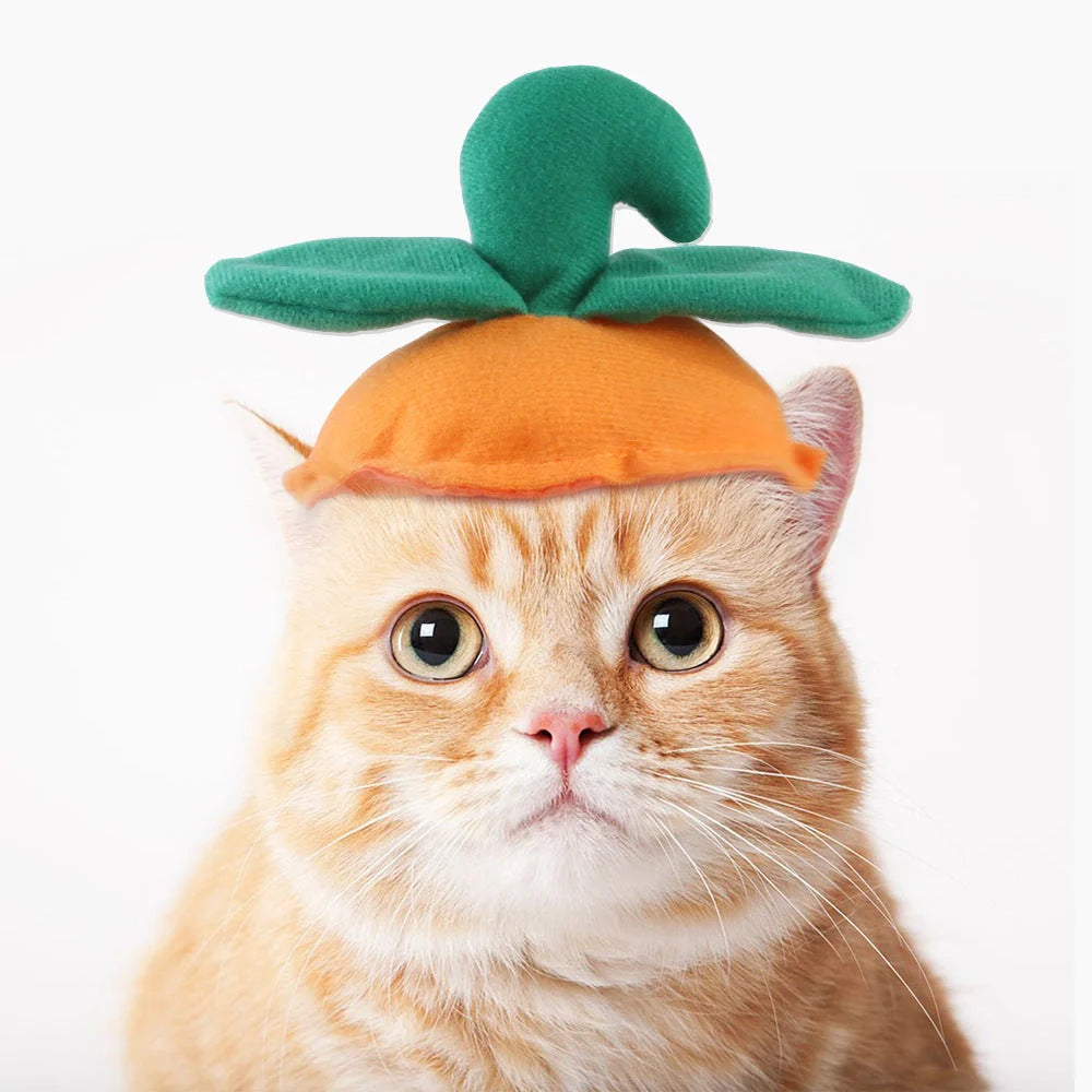 Cartoon-style cloth hat for cats in various designs, perfect for warmth and style