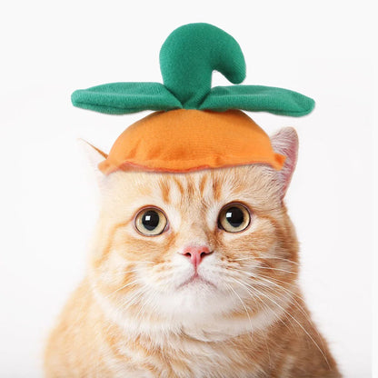 Cartoon-style cloth hat for cats in various designs, perfect for warmth and style