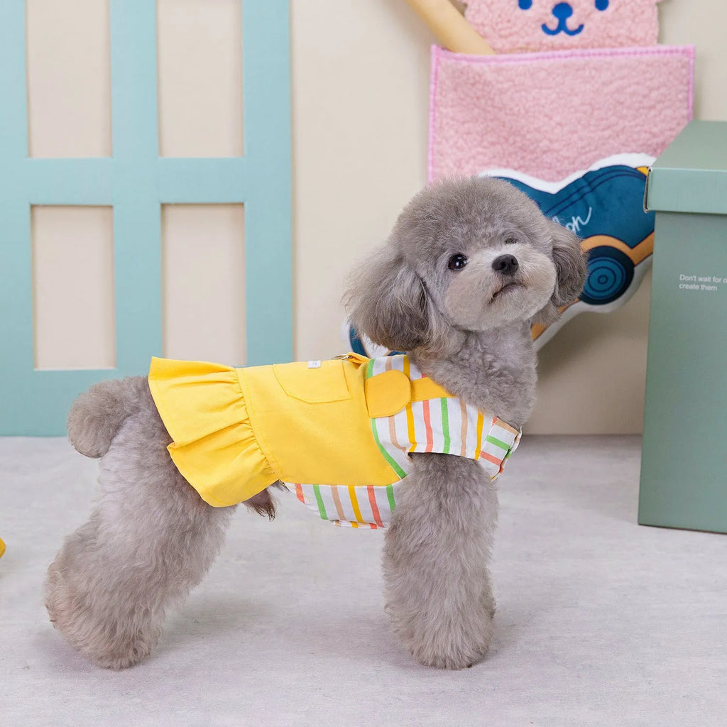 Orange and yellow striped patchwork dog skirt on canine model showing cotton fabric texture and sizing
