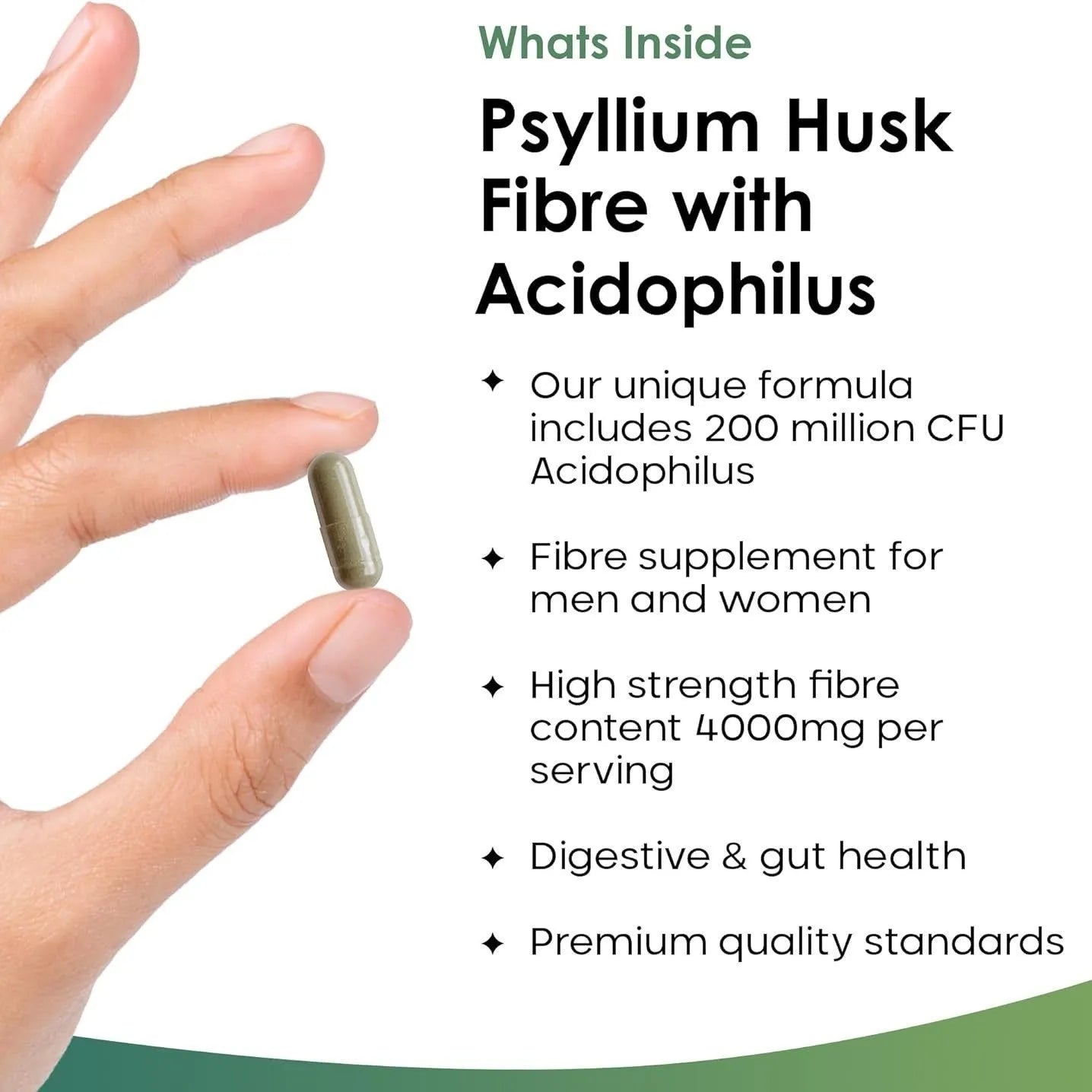 Yang Plantain Seed Shell Capsule Probiotics Supplement 120 tablets bottle for adult digestive health