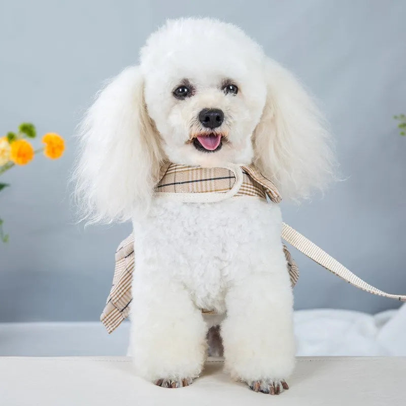 Pet harness vest with chest strap and attached hand-holding rope in beige and purple colour options