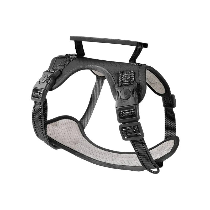 Polyester dog chest harness and lead in multiple colours and sizes for secure pet walking.