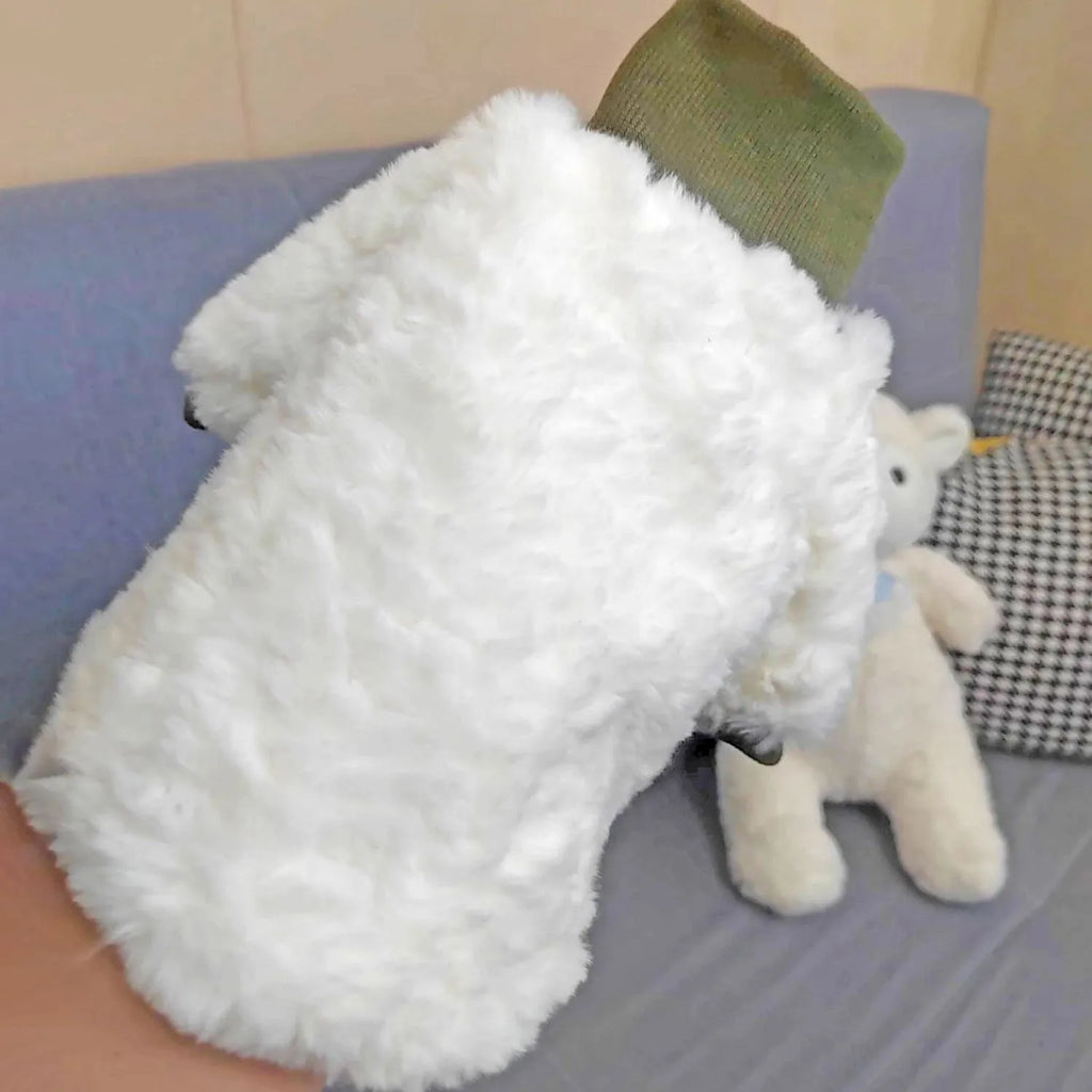 Creamy green turtleneck dog coat with high collar on small dog, showing plush cotton-padded construction