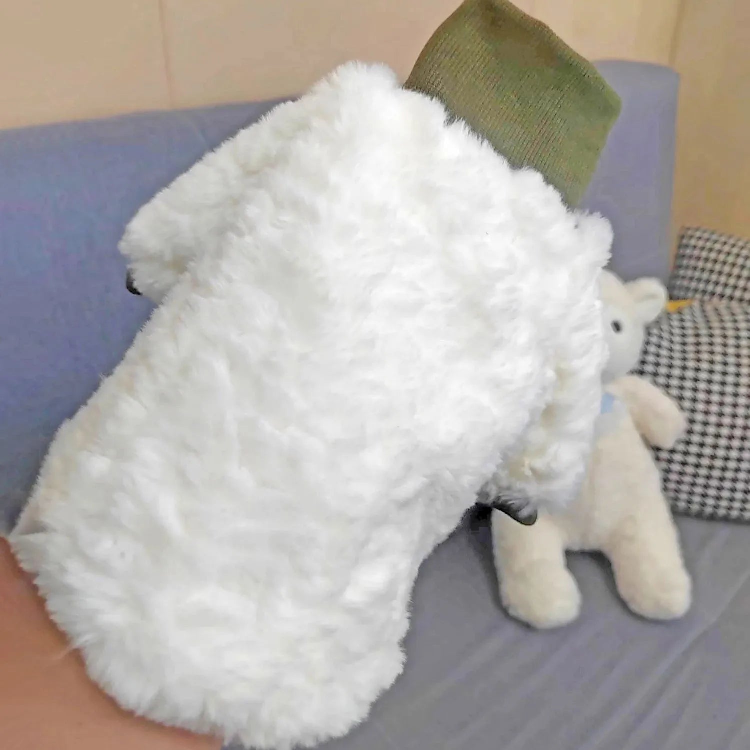 Creamy green turtleneck dog coat with high collar on small dog, showing plush cotton-padded construction