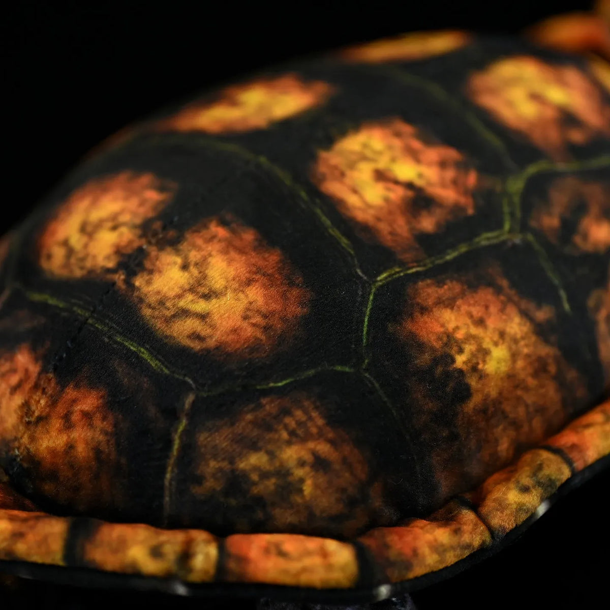 Coffee-coloured Japanese stone turtle plush toy 32cm from mouth to tail on neutral background
