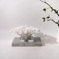 Coral resin decorative sculpture 34x31x15cm on a shelf, coral colour model A167