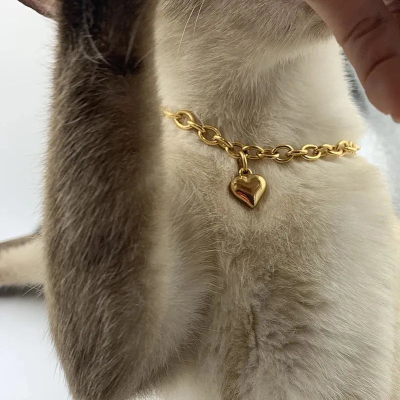 Stainless steel necklace with a pendant showing a cat, dog and heart, on a curb chain.