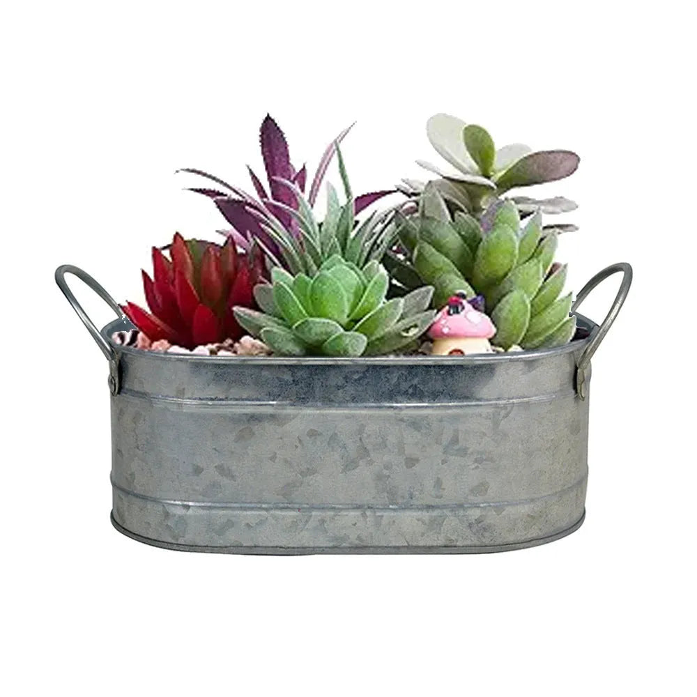 Iron sheet succulent flowerpot in a desktop style on a wooden surface.