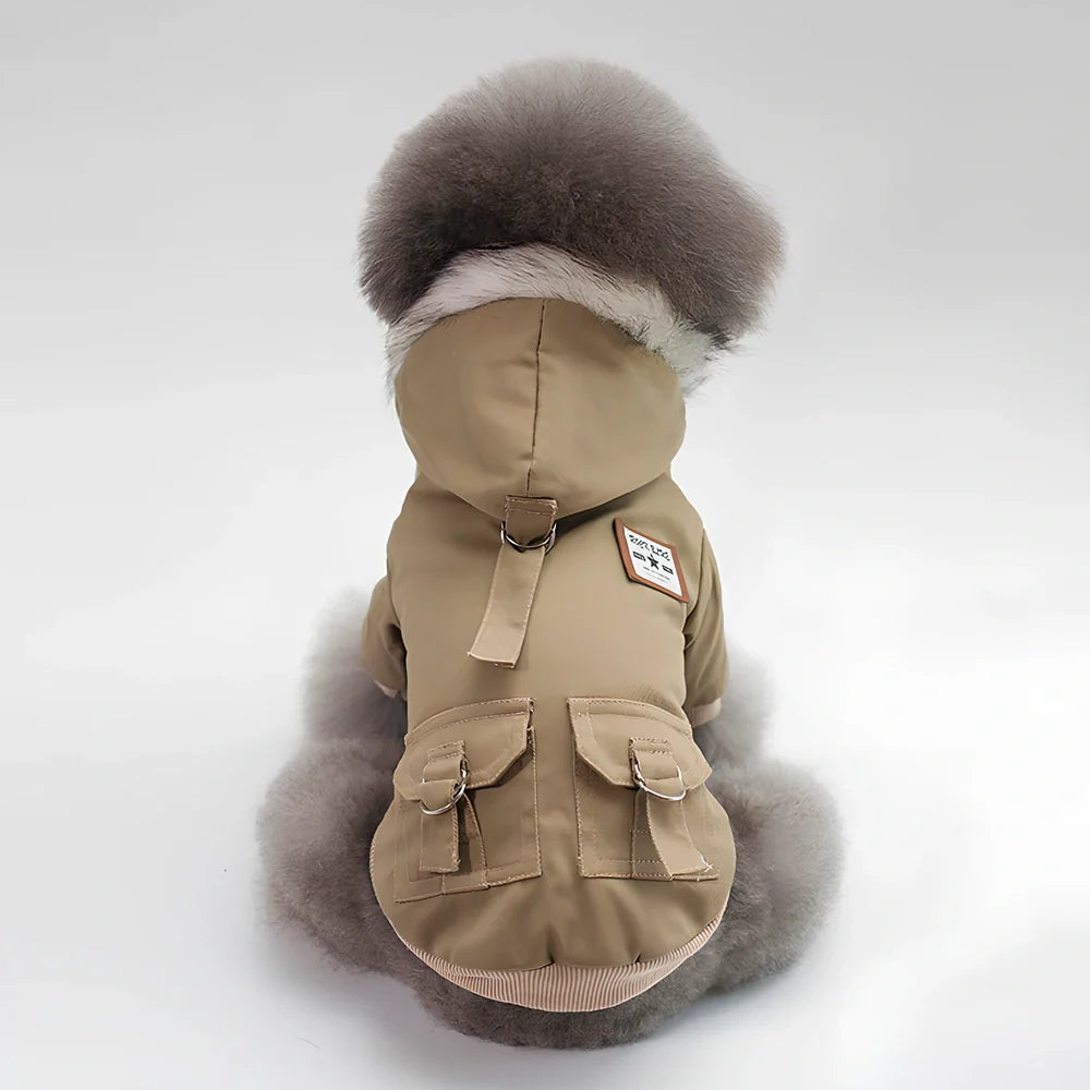 Grey cap dog coat hoodie on small breed like Chihuahua, warm wool blend for autumn winter, sizes S-XXL available