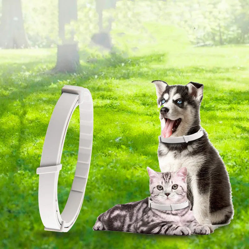 Pet anti-mosquito collar for cats and dogs – adjustable, waterproof, natural plant extract insect repellent